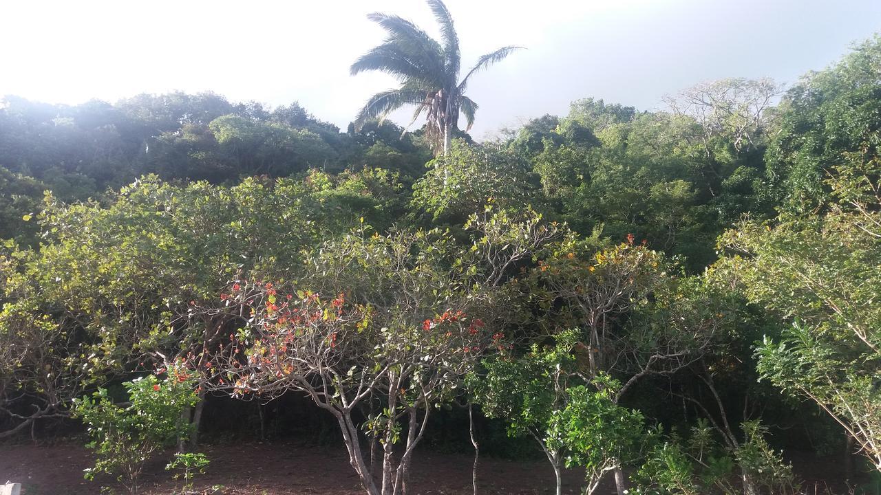 Refugio Na Serra Bananeiras Exterior photo